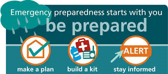 emergency preparedness steps